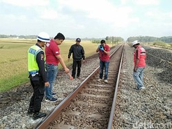 Mau Panen Padi, Warga Kebumen Tewas Tersambar KA