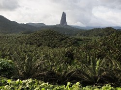Ini Gunung Paling Langsing di Dunia