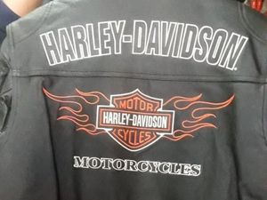 Selain Kulit Bison, Jaket untuk Pemotor yang Oke Terbuat dari Kulit Ikan Pari Selain Kulit Bison, Jaket untuk Pemotor yang Oke Terbuat dari Kulit Ikan Pari