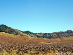 Dikritik Hanung Bramantyo Soal Bukit Teletubbies, Ini Kata TNBTS