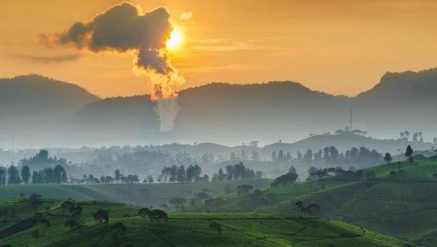 Perkebunan teh cukul pangalengan Bandung