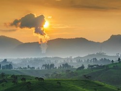 Pagi yang Dramatis di Perkebunan Teh Bandung