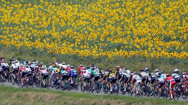 Indahnya Kebun Bunga Manjakan Peserta Tour de France