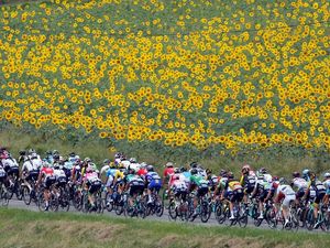 Indahnya Kebun Bunga Manjakan Peserta Tour de France Indahnya Kebun Bunga Manjakan Peserta Tour de France