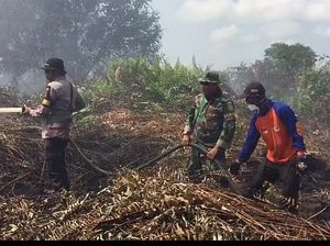 Kebakaran Lahan Gambut di Jambi Meluas, Tim Gabungan Dikerahkan Kebakaran Lahan Gambut di Jambi Meluas, Tim Gabungan Dikerahkan