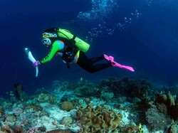 7 Panduan Wisata Selam Saat Pandemi COVID-19