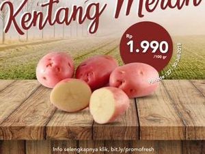 Kentang Merah, Umbi Langka yang Kaya Manfaat Sehat Kentang Merah, Umbi Langka yang Kaya Manfaat Sehat