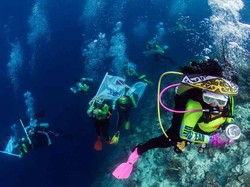 Raja Ampat yang Kaya Raya (Alamnya)