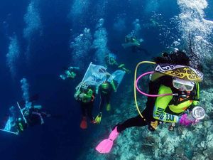 Raja Ampat yang Kaya Raya (Alamnya) Raja Ampat yang Kaya Raya (Alamnya)