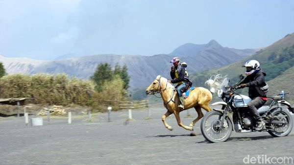 Foto: Keren! Adu Cepat Kuda Bromo vs Motor Adventure