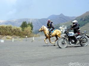 Foto: Keren! Adu Cepat Kuda Bromo vs Motor Adventure