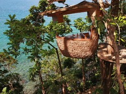 Di Restoran Ini Bisa Merasakan Sensasi Makan Seperti di Sarang Burung