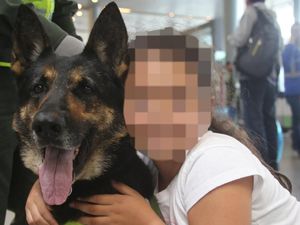 Ungkap Penyelundupan Kokain, Anjing Polisi Diincar Geng Narkoba