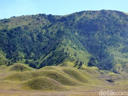 Hijau Bak Permadani, Begini Cantiknya Bukit Teletubbies Bromo