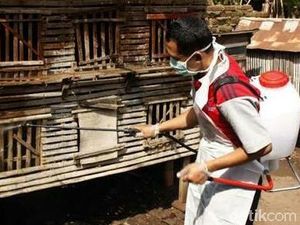 Dinas Pertanian Selidiki Matinya Puluhan Ayam Secara Mendadak Dinas Pertanian Selidiki Matinya Puluhan Ayam Secara Mendadak