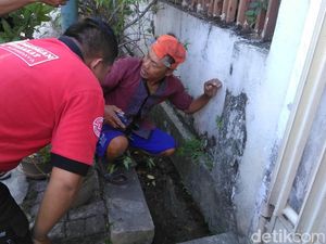 Di Surabaya Warga Lihat Penampakan Sanca, Namun Hilang saat Dicari