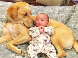 Baru Melahirkan dan Punya Hewan Peliharaan? Simak Tips Ini, Bun