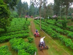 Seru! Menjelajahi Gunung Mas Puncak dengan ATV