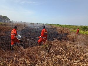 KLHK Sebut Pemadaman Api di Lahan Gambut Butuh Energi dan Waktu