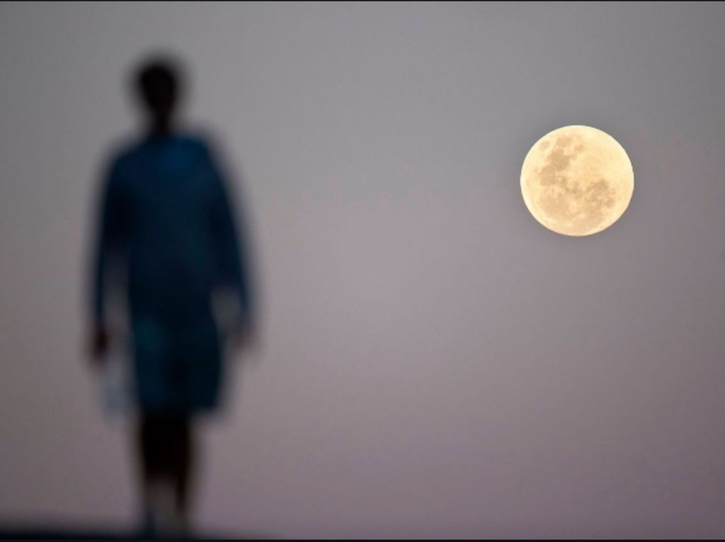 Gerhana Bulan Total Super Blood Moon Muncul pada 26 Mei, Bisa Disaksikan di Mana? Gerhana Bulan Total Super Blood Moon Muncul pada 26 Mei, Bisa Disaksikan di Mana?