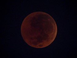 Hari Minggu Ini Ada Gerhana Bulan Serigala, tapi...