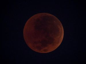 Indonesia Kebagian Gerhana Bulan Serigala? Ini Kata LAPAN Indonesia Kebagian Gerhana Bulan Serigala? Ini Kata LAPAN
