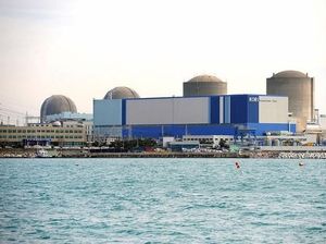 Batan Ungkap Deretan Daerah Ini Berpotensi Dibangun PLTN