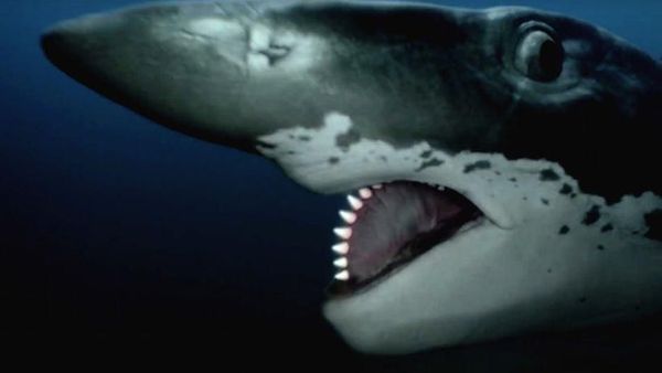 13 Hewan Purba Mengerikan yang Untungnya Telah Punah