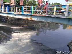 Butuh 7,5 Ton DeoGone untuk Hilangkan Bau Kali Item