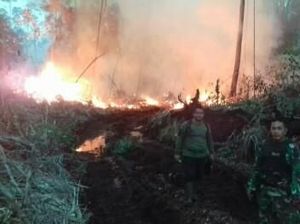 4 Hektare Lahan Sawit dan Karet Milik Warga di Jambi Terbakar 4 Hektare Lahan Sawit dan Karet Milik Warga di Jambi Terbakar