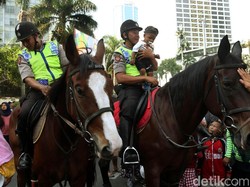 Dokter Hewan Kuda Ternyata Profesi Langka Loh, Bisa Kuliah di Mana?
