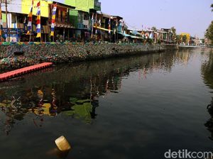 Serbuk Penghilang Bau Ditebar di Kali Item