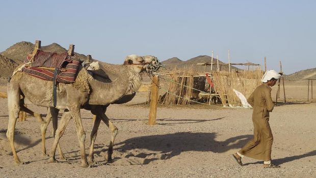 Menikmati Kota Resor Musim Panas Hurghada