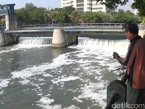 Kalimas Tiba-tiba Berbusa dan Berbau Busuk, Apa Penyebabnya?