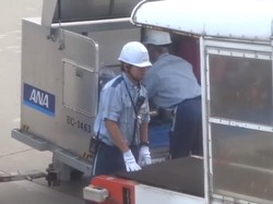 Ini Perlakuan Petugas Bagasi Bandara Jepang yang Bikin Iri