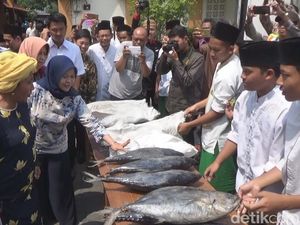 Menteri Susi Sumbang 5 Ton Ikan Tuna dan Sentra Kuliner untuk Santri Menteri Susi Sumbang 5 Ton Ikan Tuna dan Sentra Kuliner untuk Santri