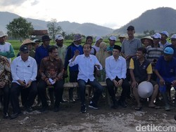 Saat Jokowi dan TGB Dengarkan Aspirasi Petani di Tengah Sawah