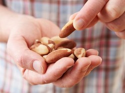 Pria Perlu Sering Konsumsi Makanan Ini Agar Spermanya Berkualitas