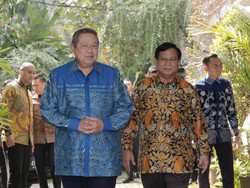 PD Dukung Prabowo-Sandi, Hanura: Kok SBY Pilih Kardus Kosong?