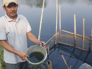 Sungai Ciujung Serang Menghitam, Warga Menjerit