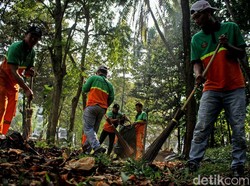 Pedagang Sate Taichan Dilarang Berjualan di Area GBK Mulai 1 Agustus