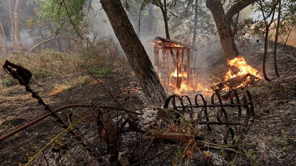 Ganasnya Kebakaran Hutan di California yang Tewaskan 6 Orang