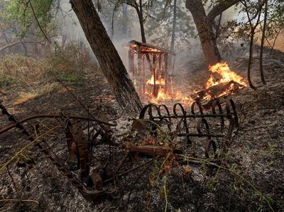 Ganasnya Kebakaran Hutan di California yang Tewaskan 6 Orang