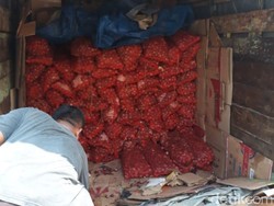 Truk Muatan Bawang Merah 2 Ton Ilegal Ditangkap