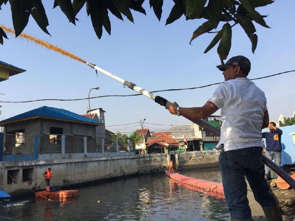 Cerita Kagama DKI Bantu Semprotkan Mikroba ke Kali Item Cerita Kagama DKI Bantu Semprotkan Mikroba ke Kali Item