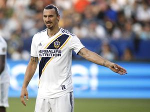 Kalau Gabung Milan, Ibrahimovic Akan Bantu Cutrone Berkembang Kalau Gabung Milan, Ibrahimovic Akan Bantu Cutrone Berkembang