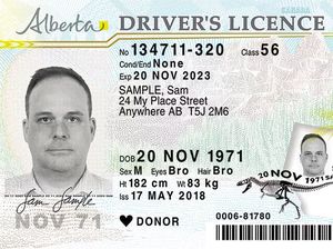 Pria Ini Rela Jadi Wanita Demi Asuransi Mobil Lebih Murah