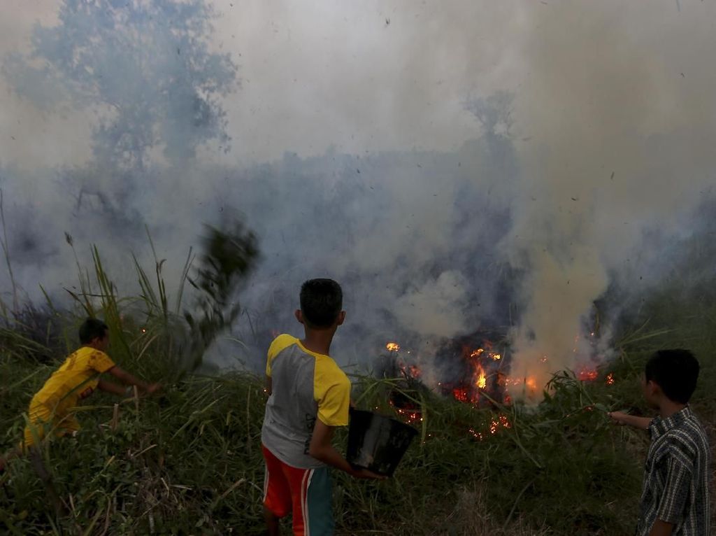 Danrem Wirabima: Pelaku Pembakar Lahan di Riau Tembak di Tempat!