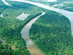 Industri Pertanian dan Hilangnya Keanekaragaman Hayati