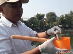 Kalimas Berbusa dan Berbau Busuk, Ini yang Dilakukan Dinas Lingkungan